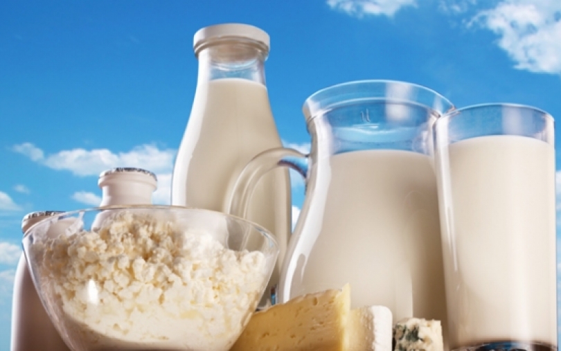 B. Ropė – dar kartą apie pieno sektorių