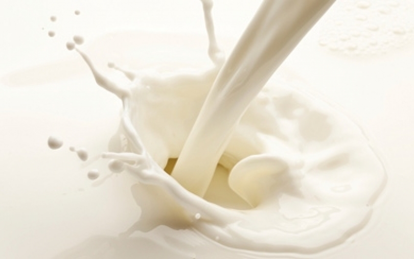 B. Ropė – diskusijose apie pieno sudedamąsias dalis
