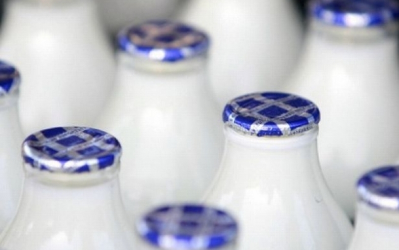 B. Ropė ragina Europos Komisiją ieškoti realių vaistų pieno krizei