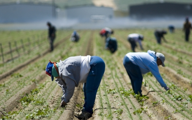 Kaip Bendroji žemės ūkio politika prisideda prie darbo vietų kūrimo kaime