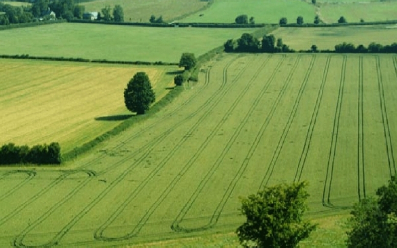 Europos Parlamentas pabrėžė žemės išteklių svarbą žemės ūkyje