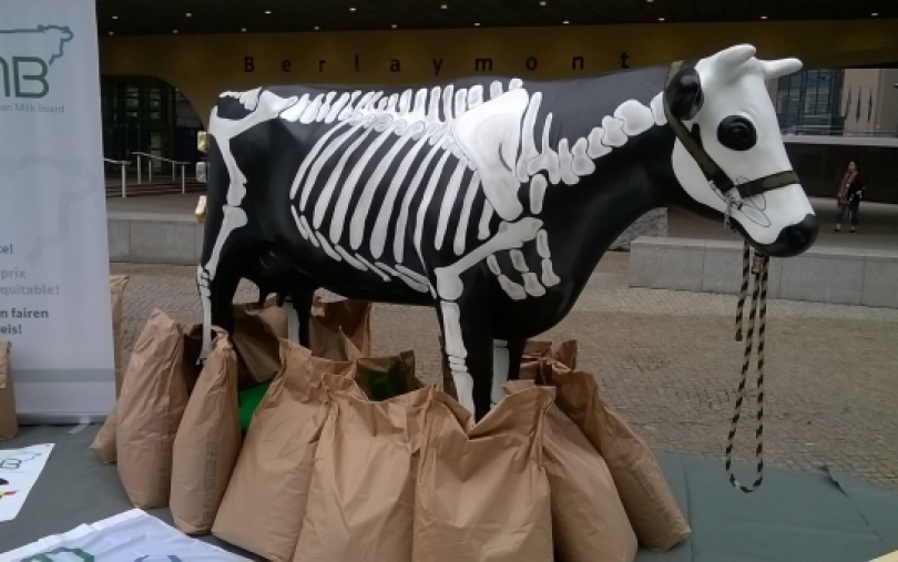 EP narys B. Ropė: karvių skeletai Briuselyje, arba išbrangusio sviesto kaina