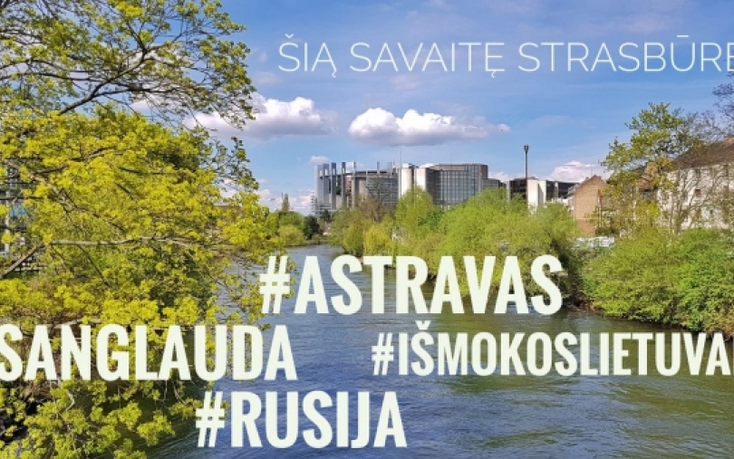 EP narys Bronis Ropė: Strasbūro sesijos svarba